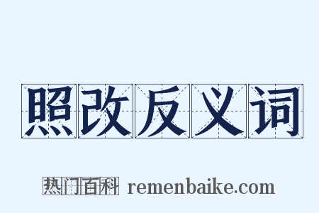 照改反义词是什么意思的图片